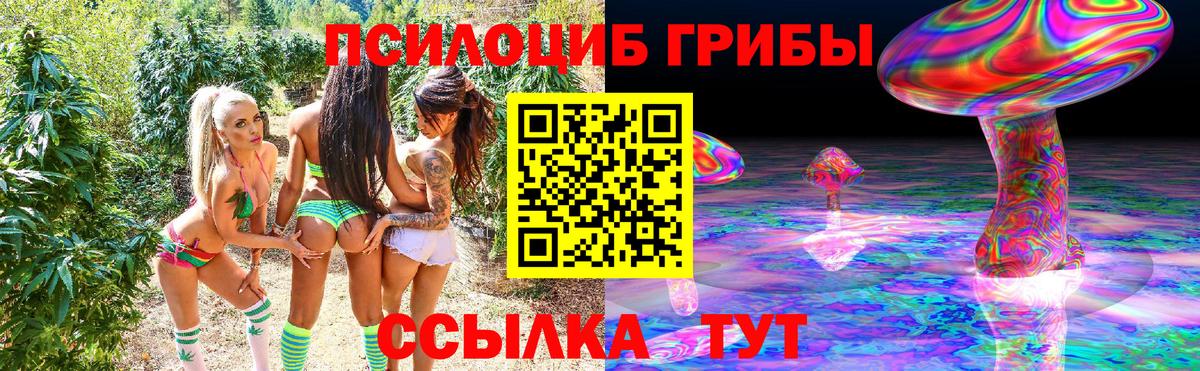 Кисловодск  Мефедрон  MDMA  Вход с VPN  Амфетамин   Метамфетамин  Меф   КОКАИН  ГАШИШ  МАРИХУАНА  LSD-25 