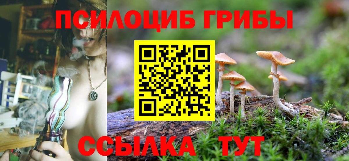 Псилоцибиновые грибы мухоморы  Вход с VPN  где продают наркотики  Кисловодск 